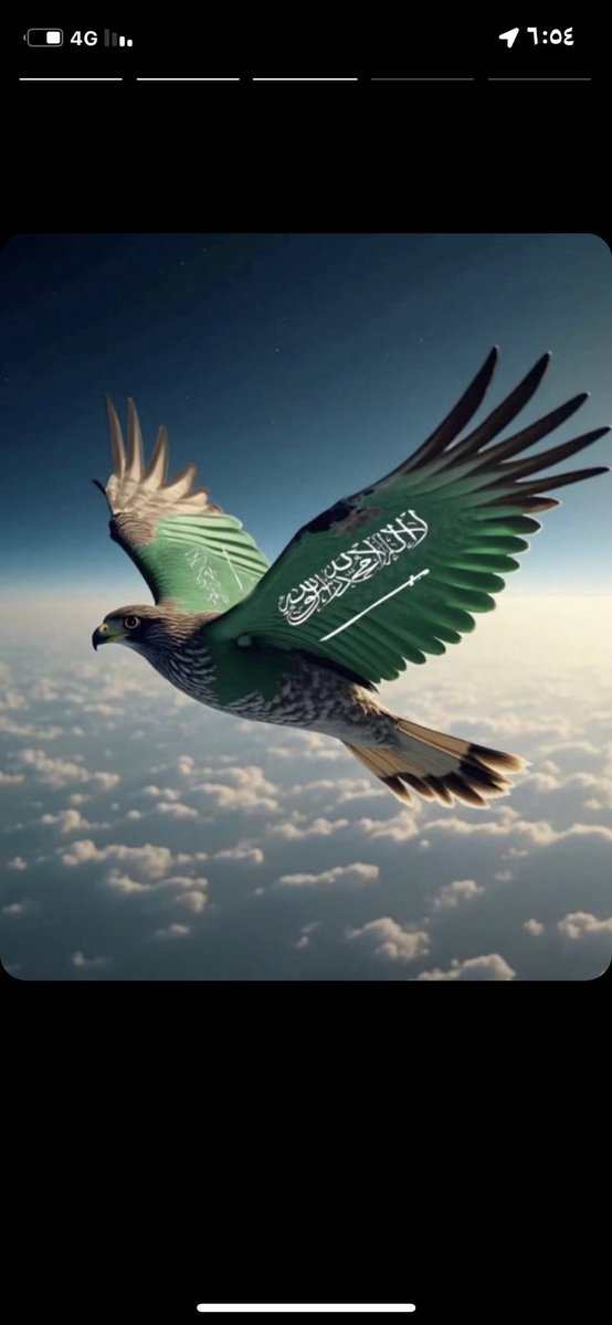 مشعان حمدان بن طواله (@mashan_altwallh) on Twitter photo 