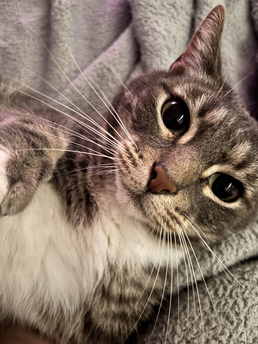 soitsu009's tweet image. 