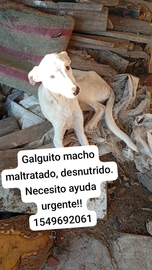 patripeyrou's tweet image. Rt
Ayuda urgente 
Por favor