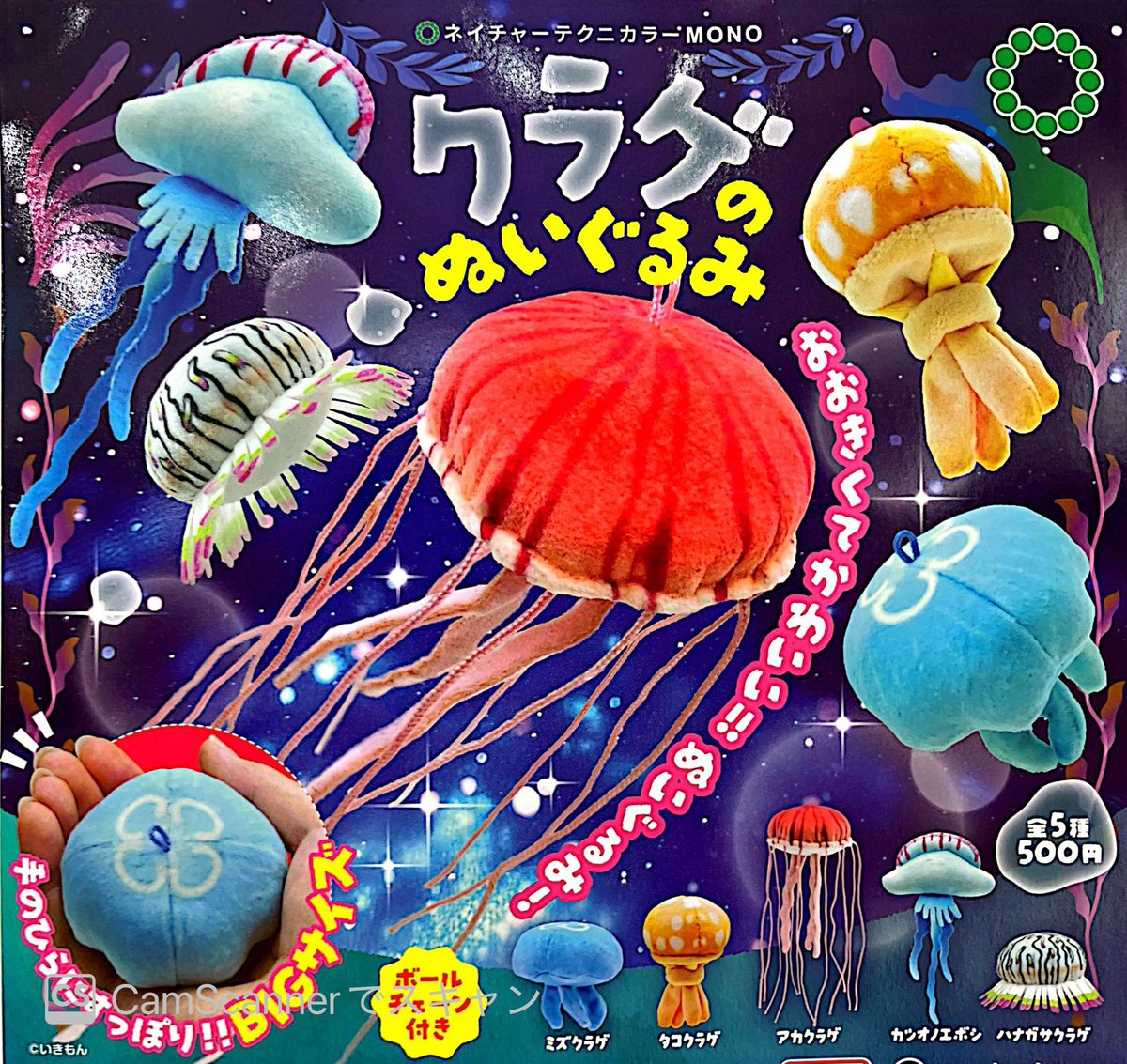 ⛄️12/31(水)再入荷情報⛄️ ❄️ ネイチャーテクニカラーMONO クラゲ