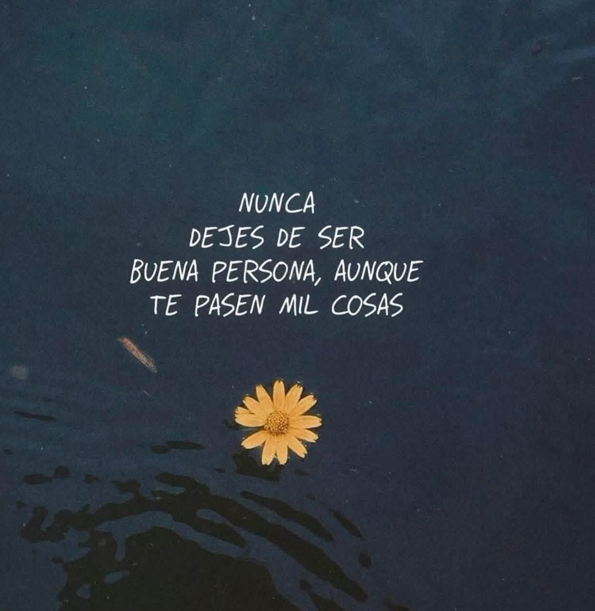 Pensamientos (@frasesimple) on Twitter photo 