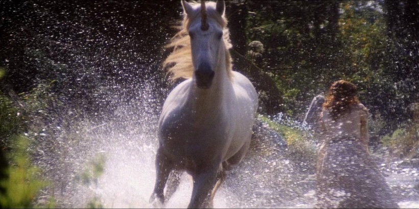 明けましておめでとうございます。
2026年の干支は、「馬」です。
リドリー・スコット作品では、馬ならいくらでもいるので、今回ピックアップしたのは、「レジェンド」の美しいユニコーンです。
リドスコ唯一のファンタジー映画で、トム・クルーズを発掘した重要な作品でもあります。