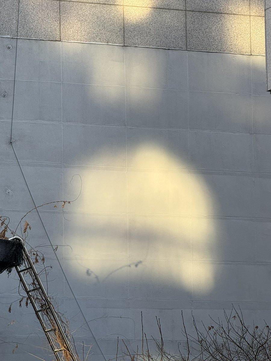 미약한 빛의 파편들을 사랑한다. 

.