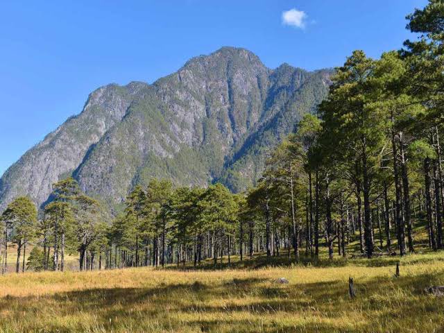 PemaKhanduBJP's tweet photo. Morning shows the day.
A long walk at Dong, breathing in the fresh mountain air, nature at its purest and most energising. https://t.co/cDxfLuX2F7