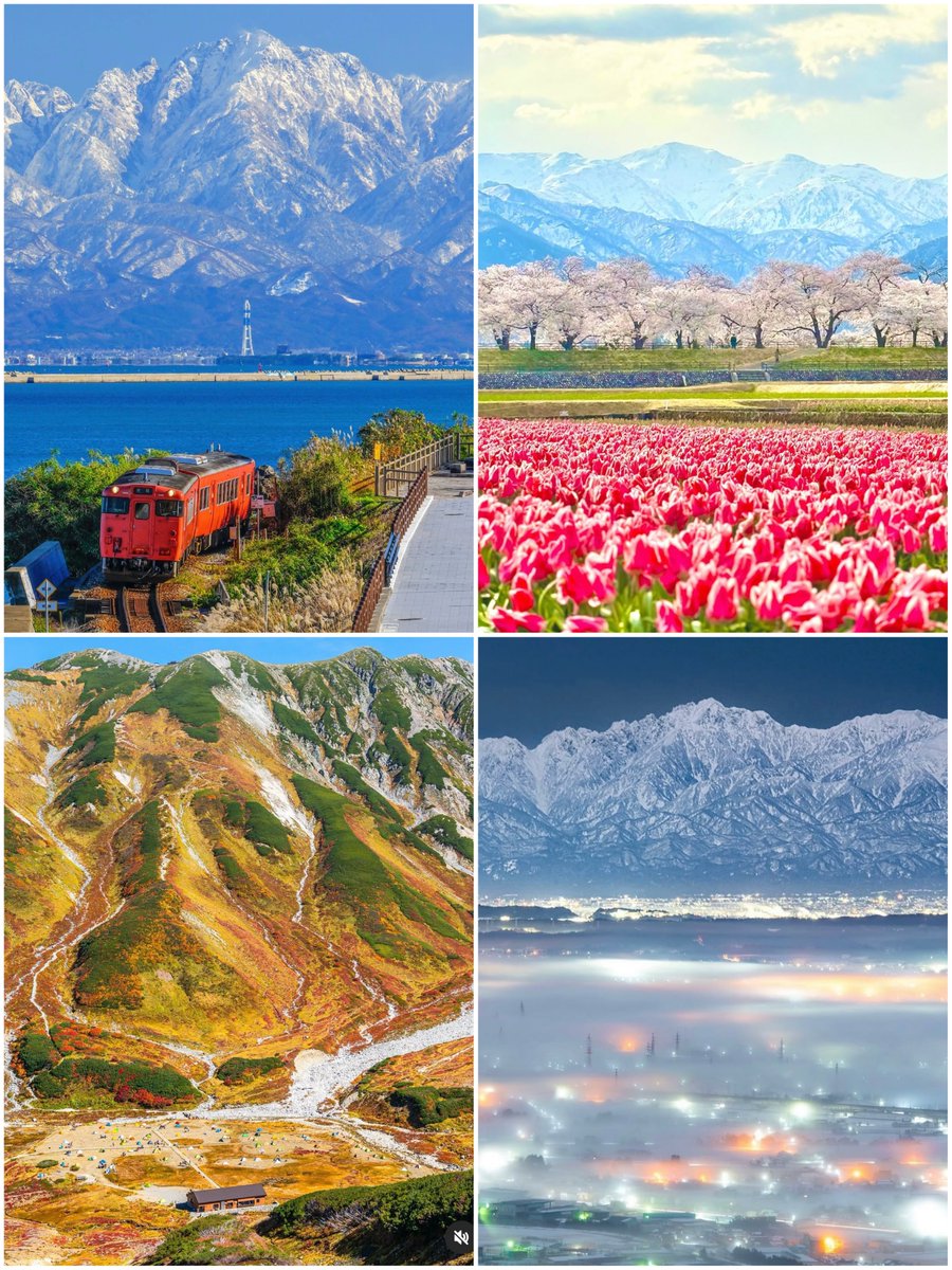 panokitotoyama's tweet photo. ✨📸 2025 ベストショットランキング 📸✨

今年、たくさんの「いいね」を集めた
富山の絶景ベスト4を発表します👏

🥇 氷見線と立山連峰
🥈 春の四重奏
🥉 立山黒部アルペンルートの紅葉
4️⃣ 稲葉山からの雲海

四季折々、心を動かされる景色に出会える富山。
来年も素敵な景色に出会えますように✨🥹 https://t.co/PGm6F5iz65