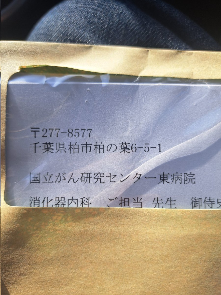 m26573174's tweet photo. 来年は頑張るよ～ https://t.co/qp4bNSBzTQ