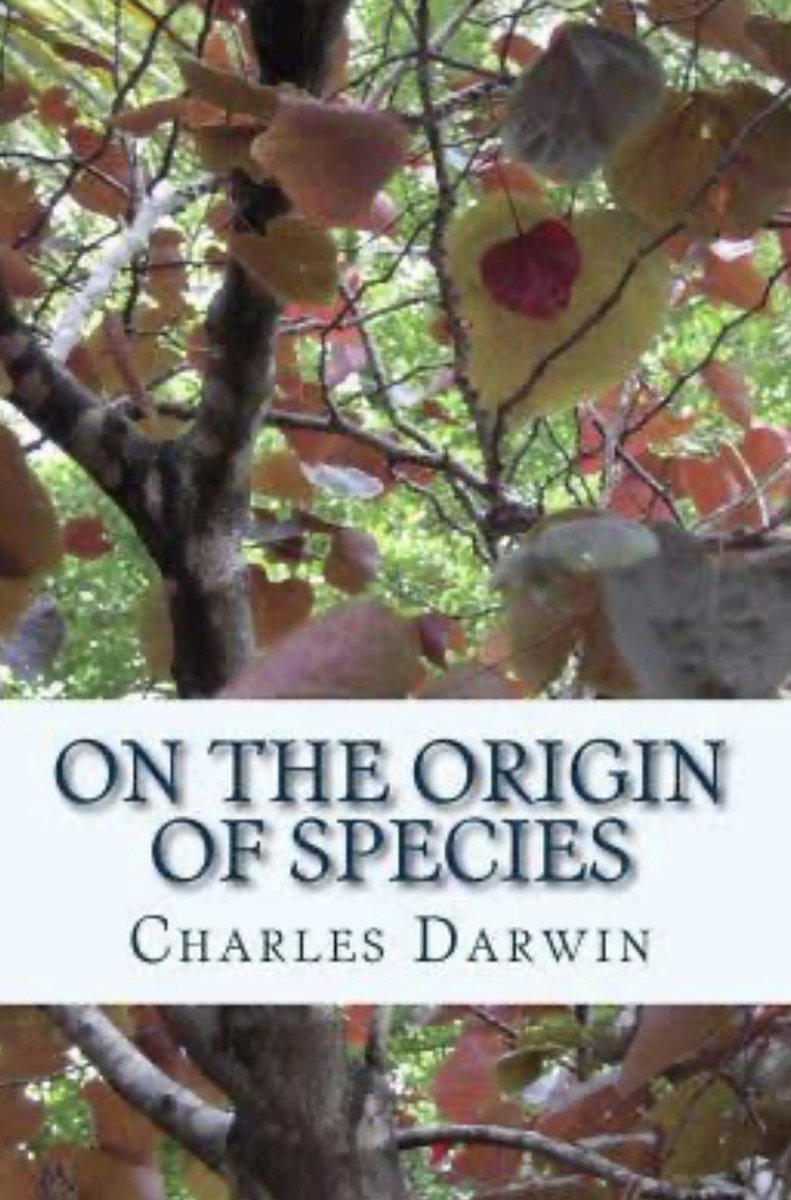 darwinandkarma tweet picture