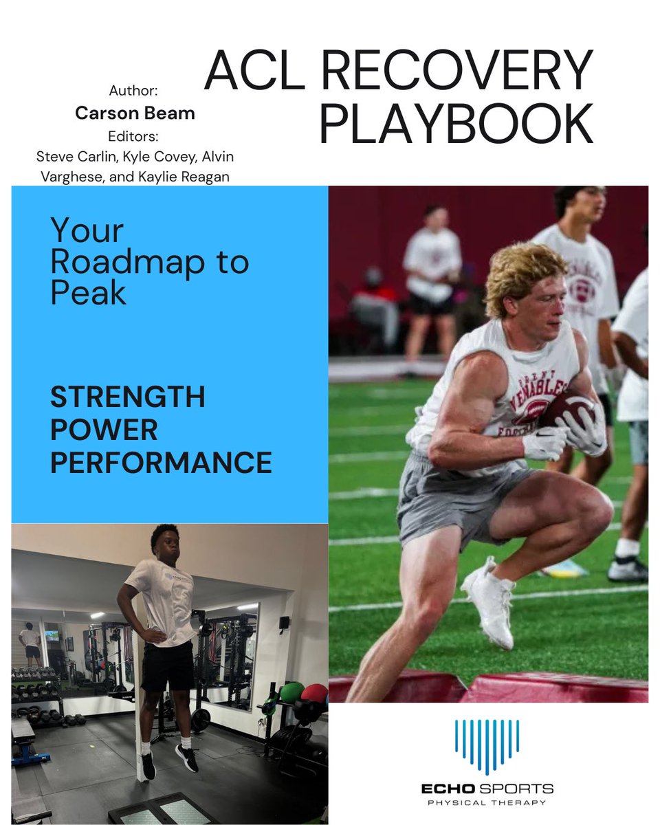 Echo Sports Physical Therapy tweet media