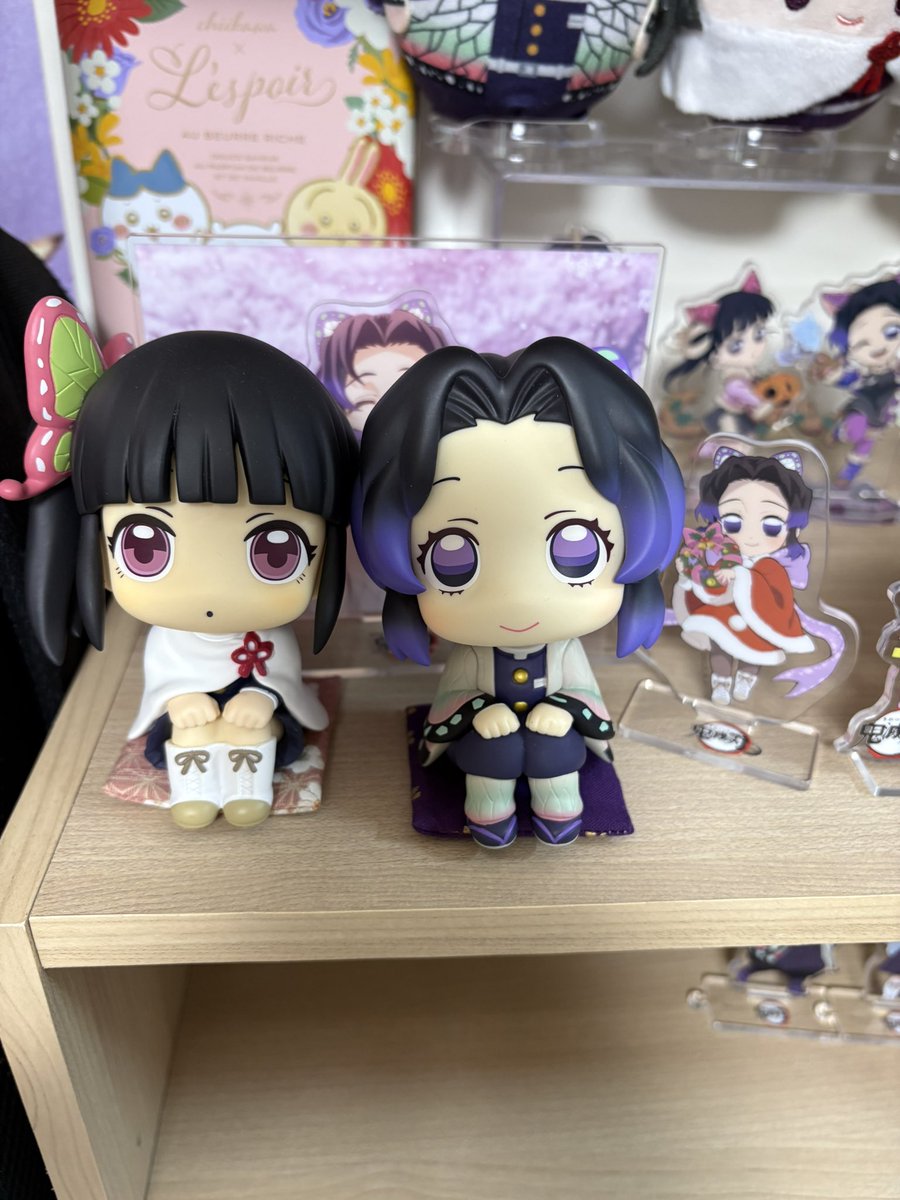 tukise_after's tweet photo. しのぶさんとカナヲに座布団。
ころぼっくるのミニチュア工房さんで購入させていただきました- ̗̀(˶'ᵕ'˶) ̖́- 
（@mini_korobo ） https://t.co/91bnKBh7yK