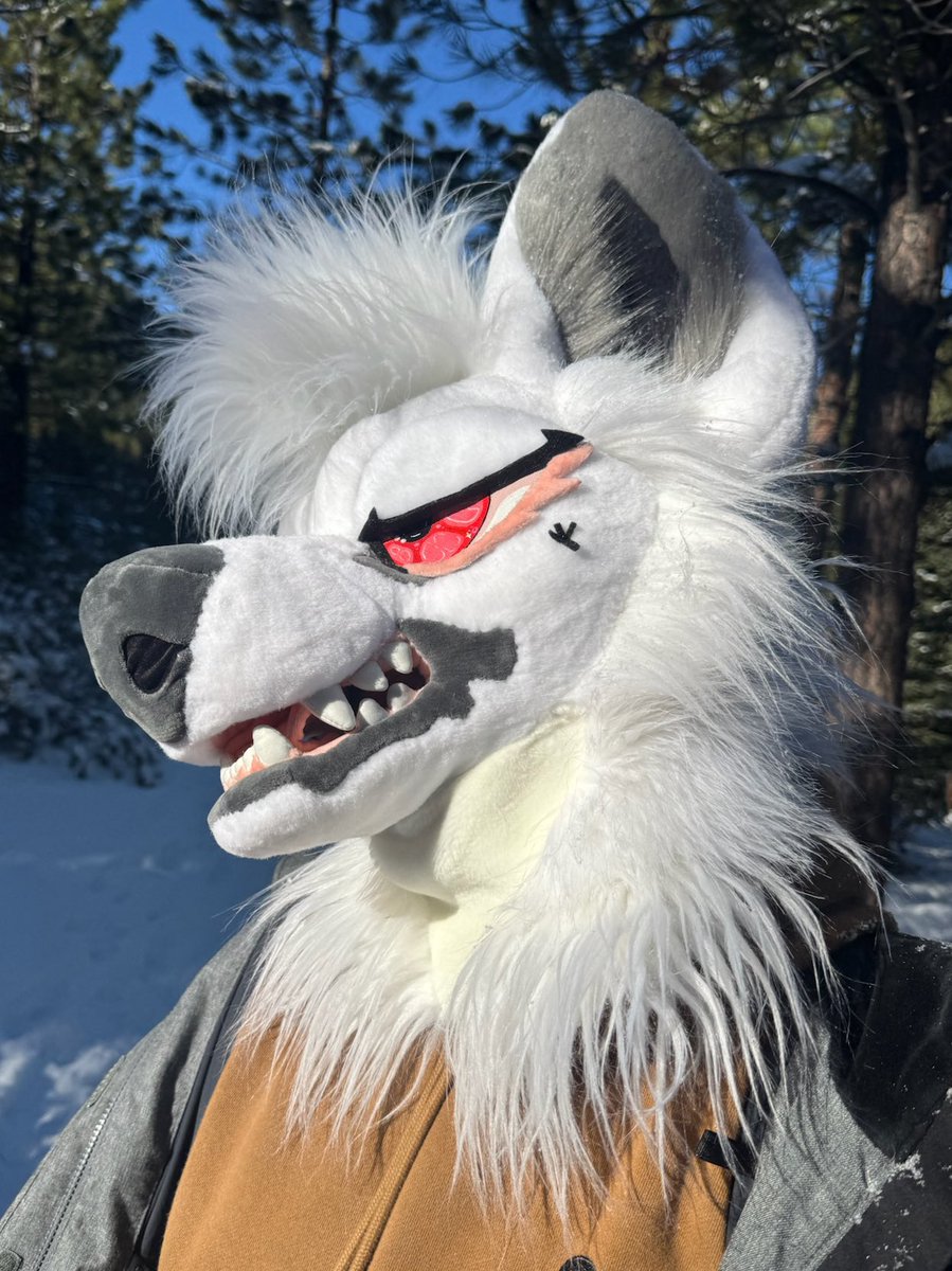 STAG ᛉ🥩 tweet media