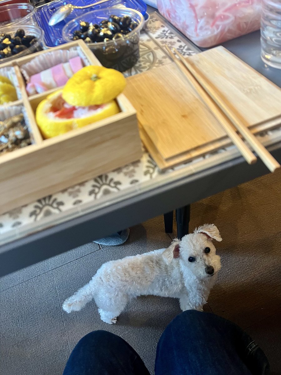 母宅で、友達とお節作り教室🙌🏻
お犬様は終始おこぼれを狙っておりました😂

もう年末なんてあっという間すぎる〜