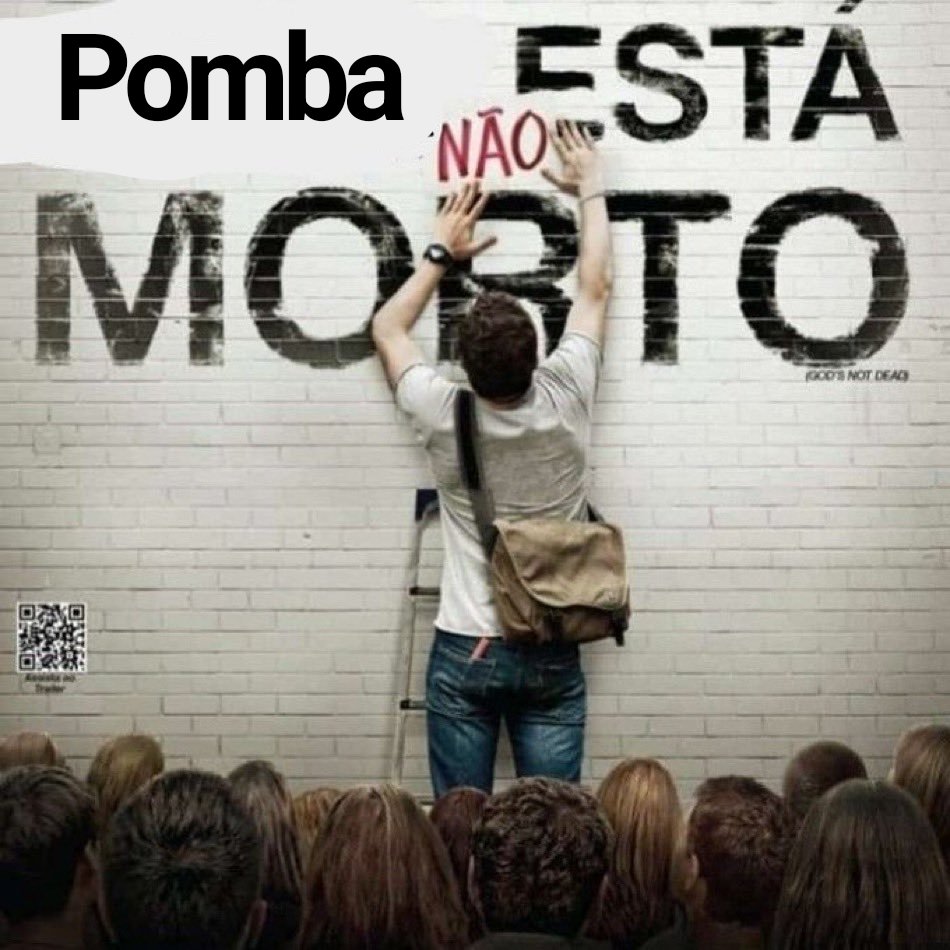 acervo pomba 🪶🕊️ tweet media