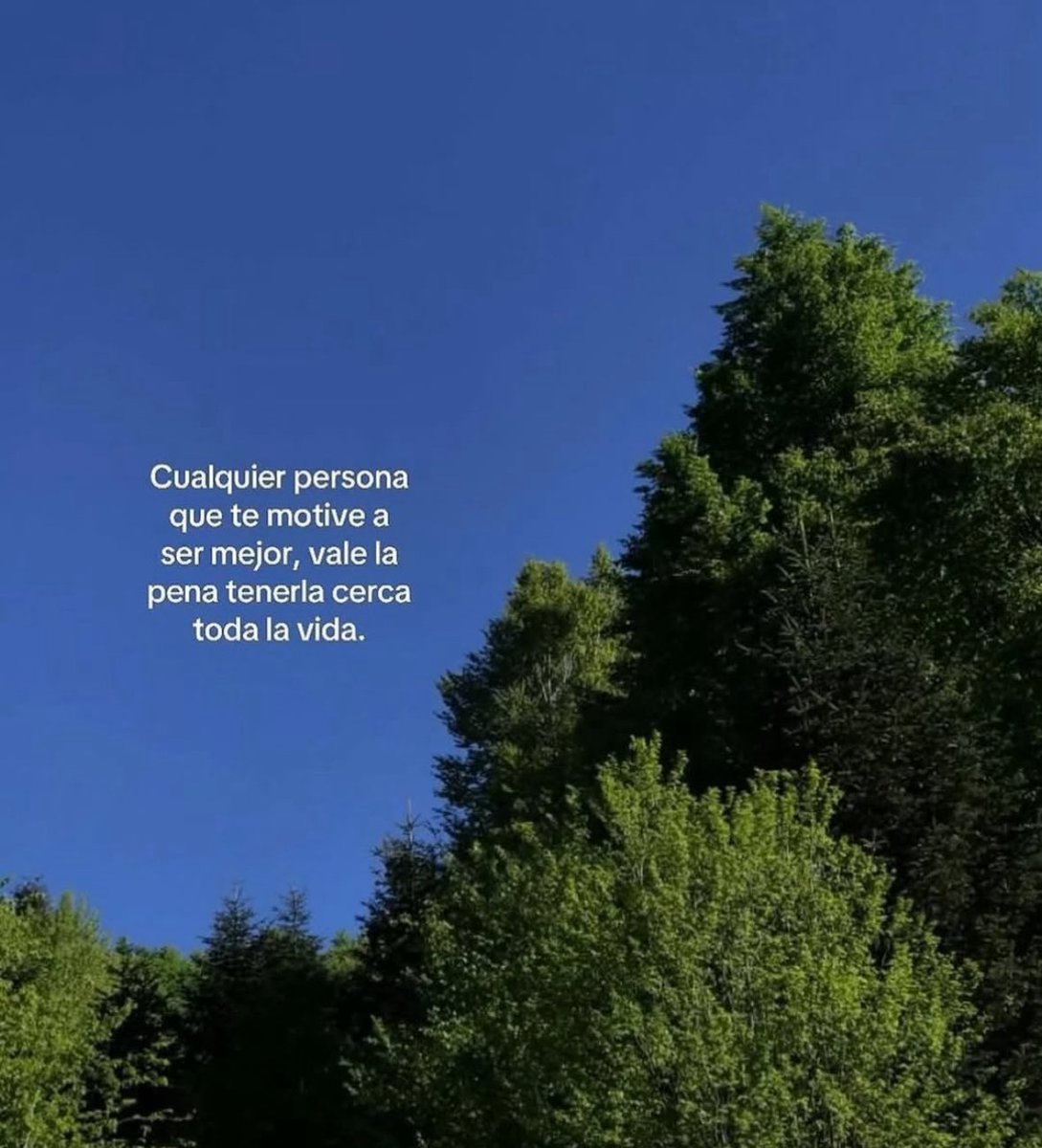 FraseSimple's tweet photo. https://t.co/JPjXvgd0vK