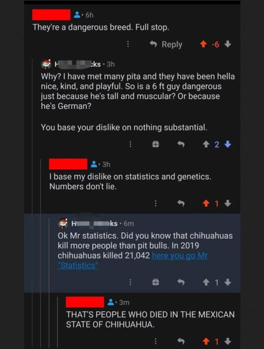 HeckSpawn's tweet image. They're still Chihuahua's...