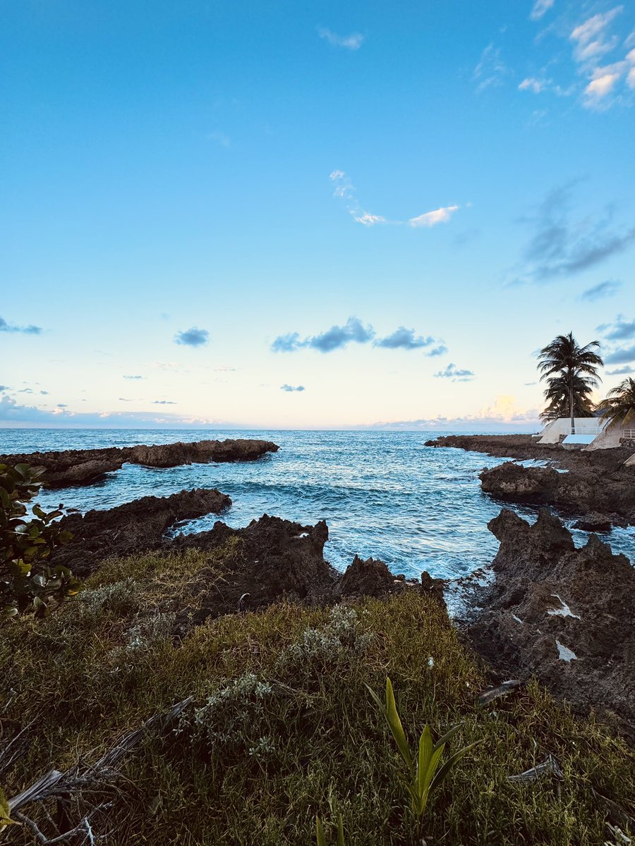 Junglist warrior
She's a rebel survivor
Jamaica, I love you 💕