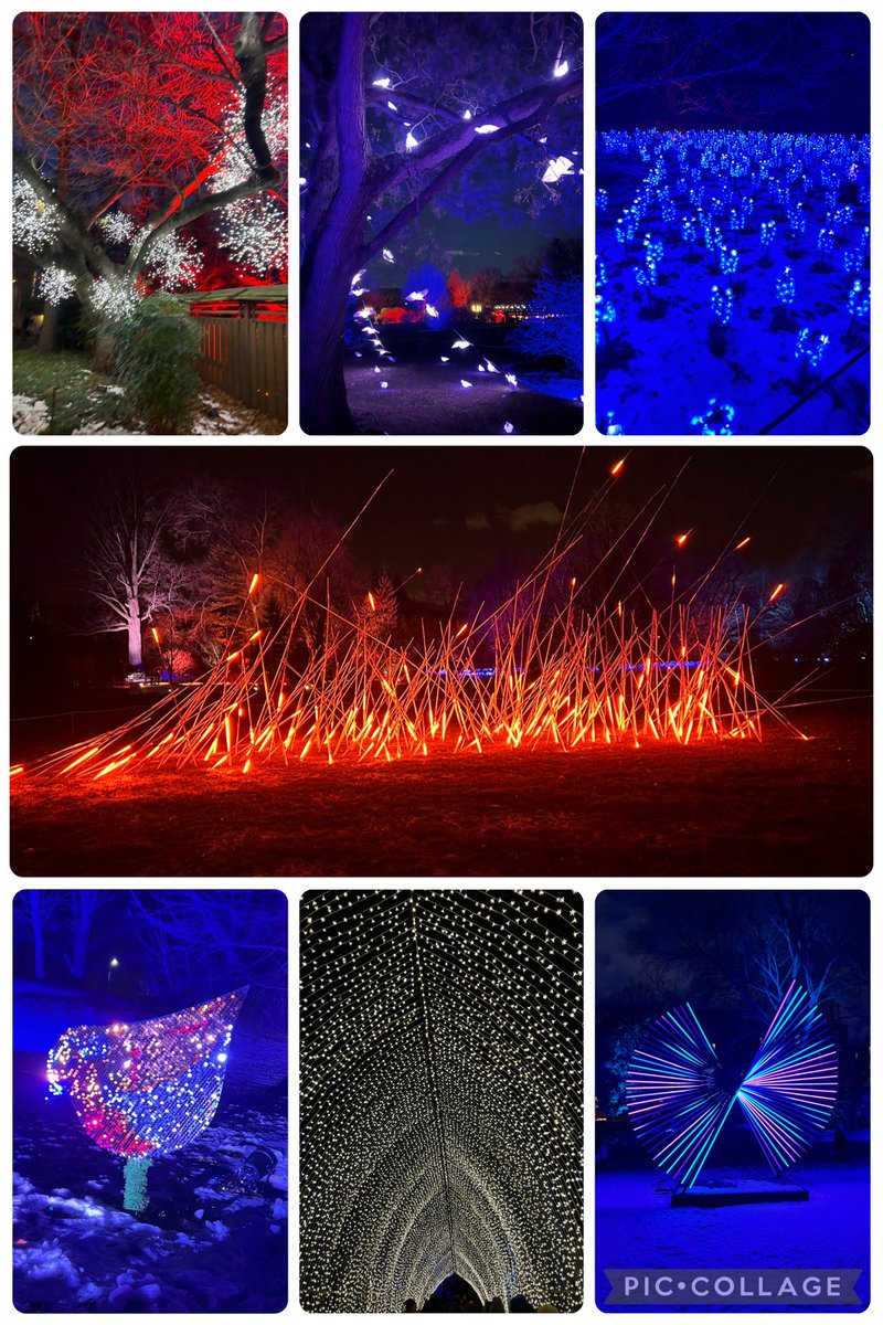 BobaCyclist's tweet photo. Closing out 2025 at Brooklyn Botanic Garden’s Lightscape, my favorite holiday tradition. New this year were the doves and disco birds. #lightscape #brooklynbotanicgarden https://t.co/cp7GhH6COq