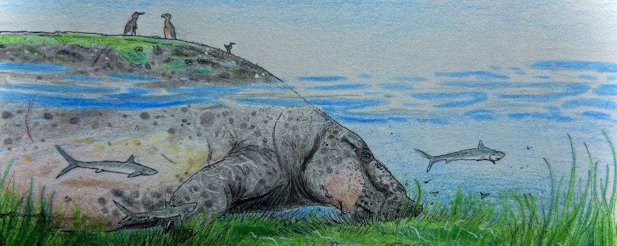 Sly 🏴󠁧󠁢󠁷󠁬󠁳󠁿 tweet media