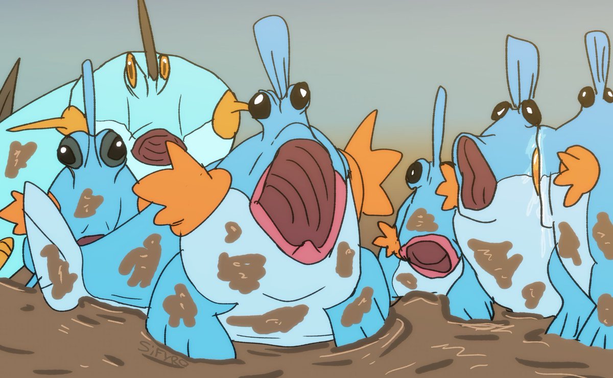 Torakuroo (@Torakuroo) / Posts / X