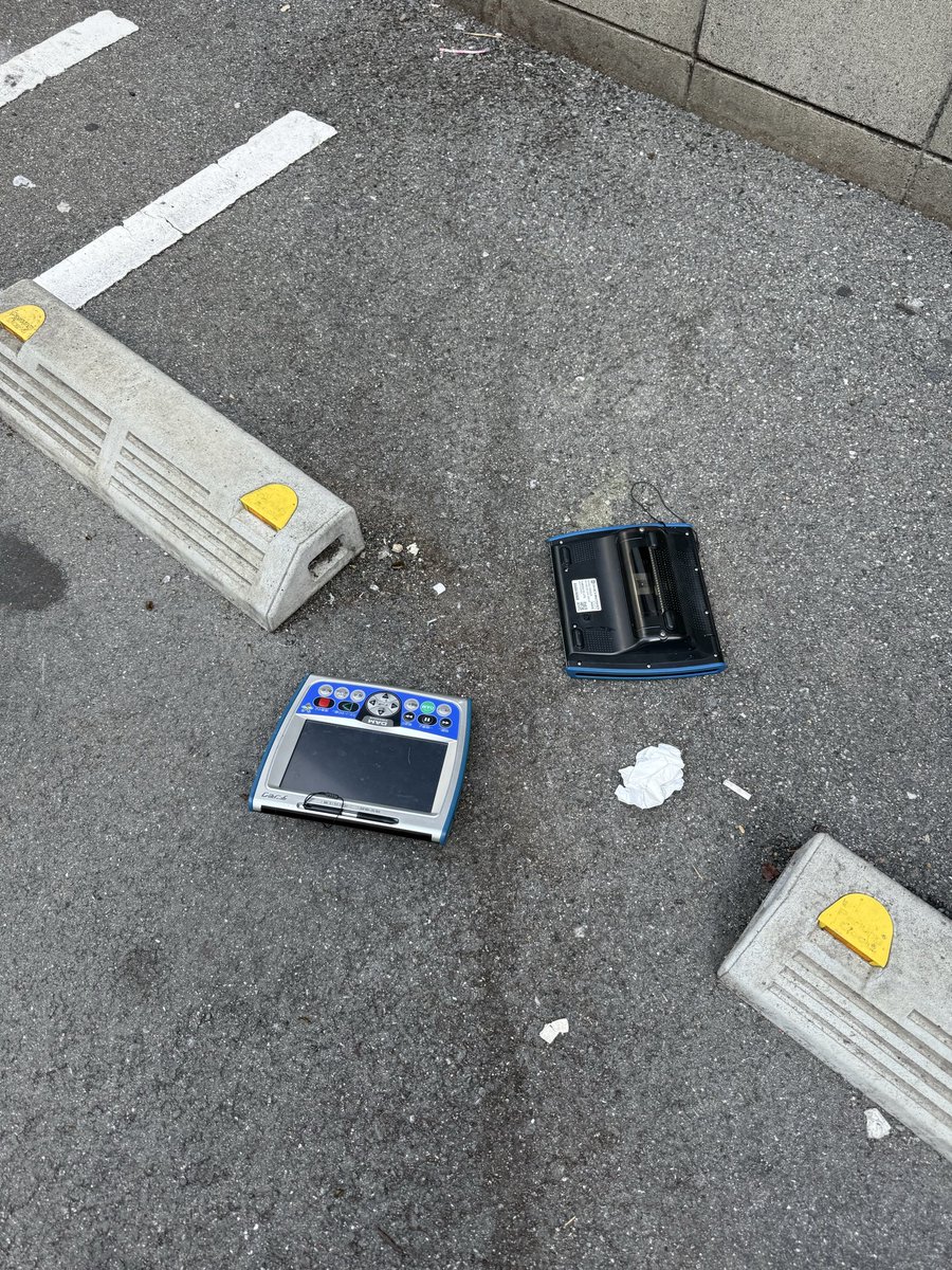 ポケギャン(前頭部ピンクゴリラ) (@yappu29) / Posts / X