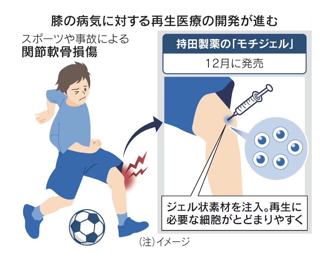 CeoImed's tweet photo. ｢国民病 膝の痛み に再生医療｣
 
･ 持田製薬が再生の足場として膝に注入する生分解性をもつジェルを国内で発売
･ バイオ新興のセルシードは自社製品の承認取得を目指す
･ 膝治療の世界市場は2兆円超に成長する見込みで、患者負担の低さを訴えシェア拡大を狙う
 
https://t.co/YgW1BuV2dc https://t.co/LbfMIUw4Gv