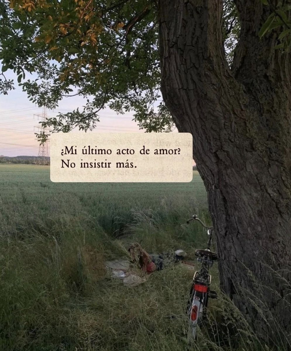 FraseSimple's tweet image. 