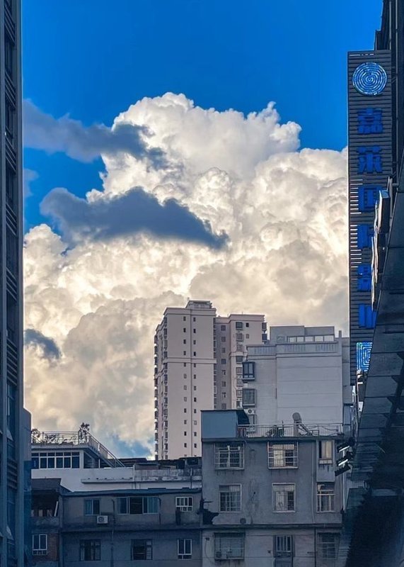 Shezza1705's tweet image. Day 49 👨‍👦