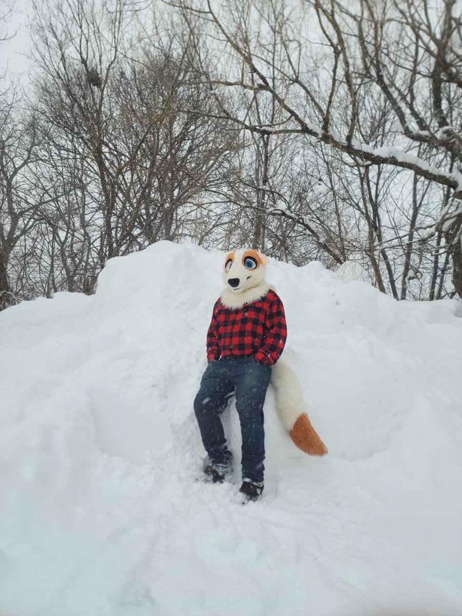Average snow enjoyer