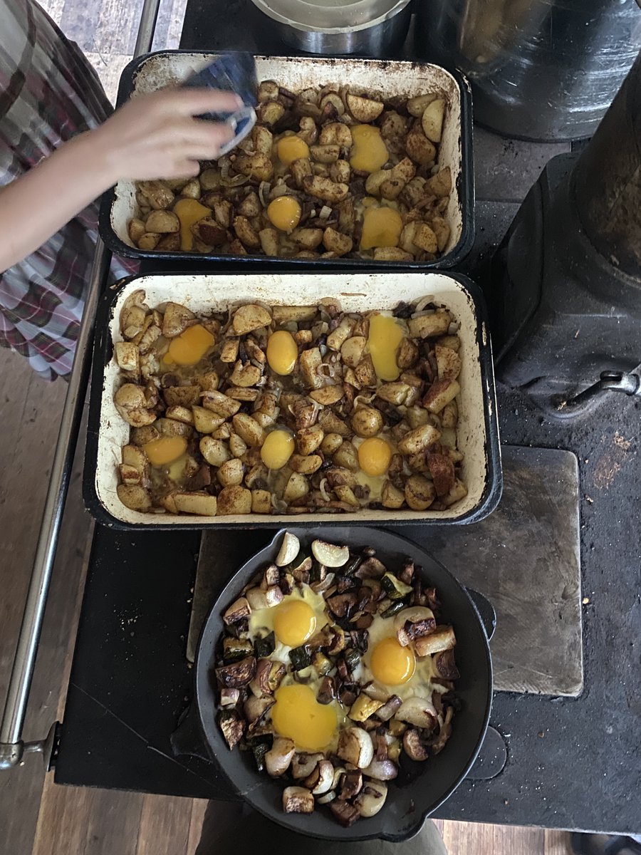 Our hens are laying lots of eggs at the moment. For lunch today is a baked farmers hash of homegrown potatoes, bacon, onions, smoked paprika, with plenty of eggs.