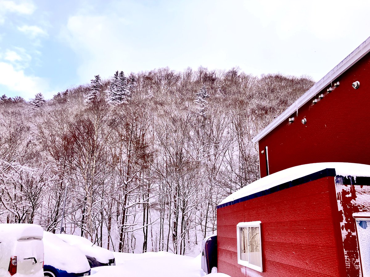 おはようございます😃今日の天気は晴れ☀️気温は2°です🌸ドカ雪が