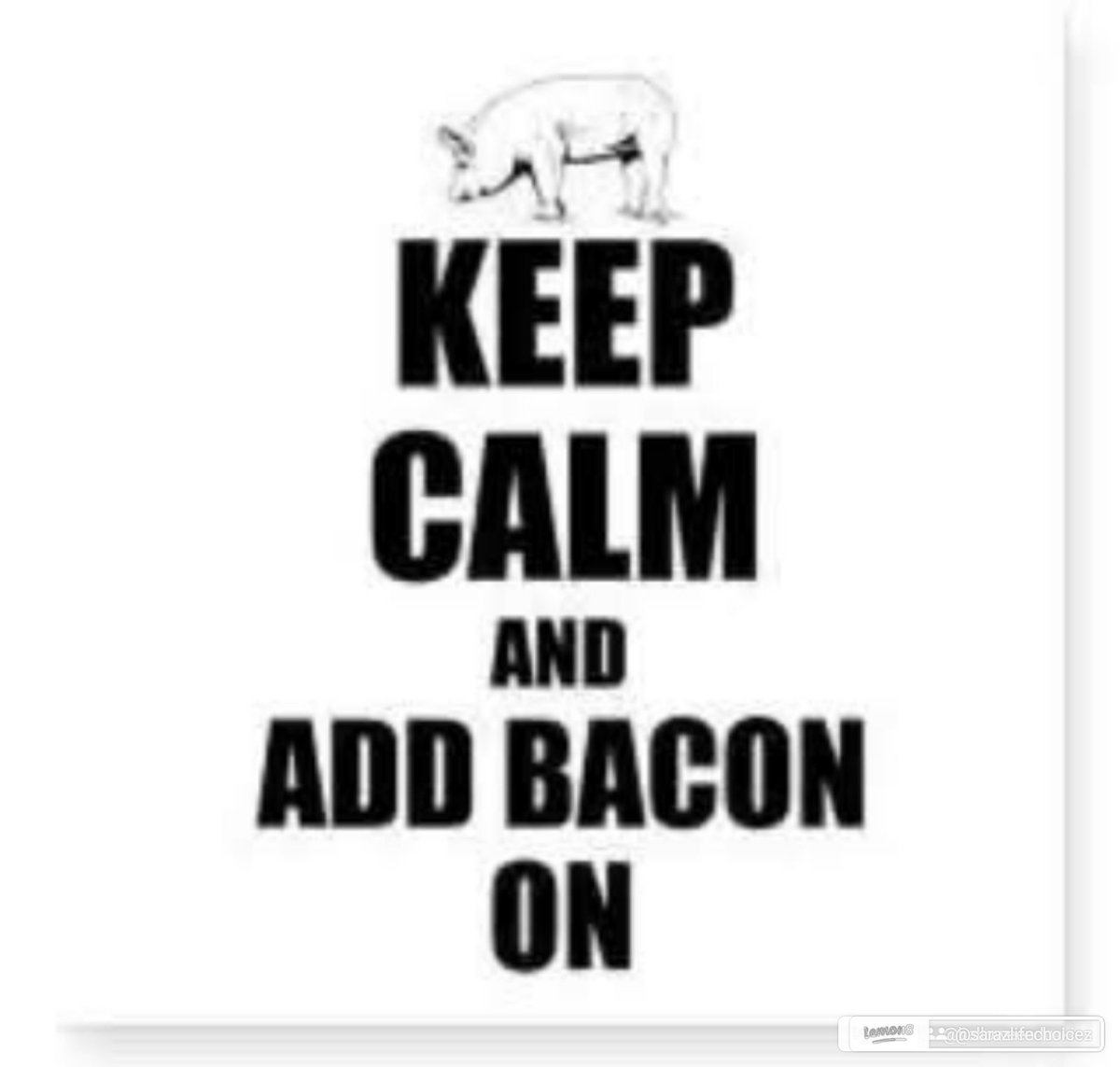 Sara Hutson tweet media