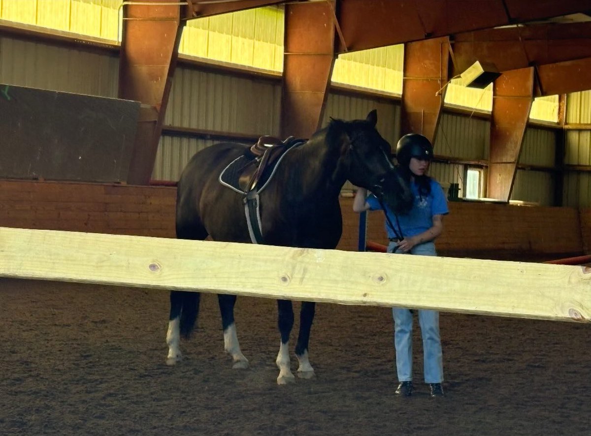 Daily Clairo tweet media