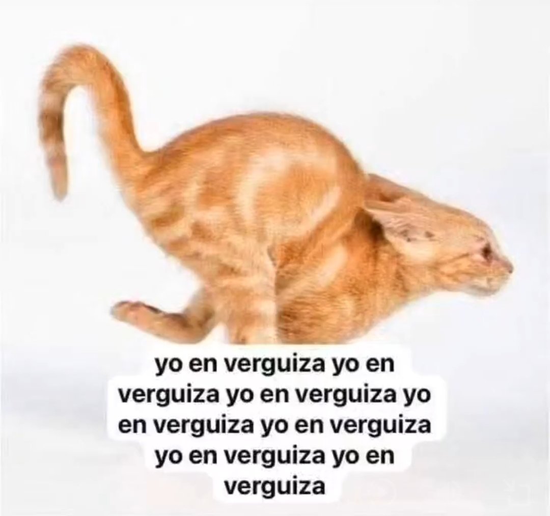 dani 🍒 tweet media