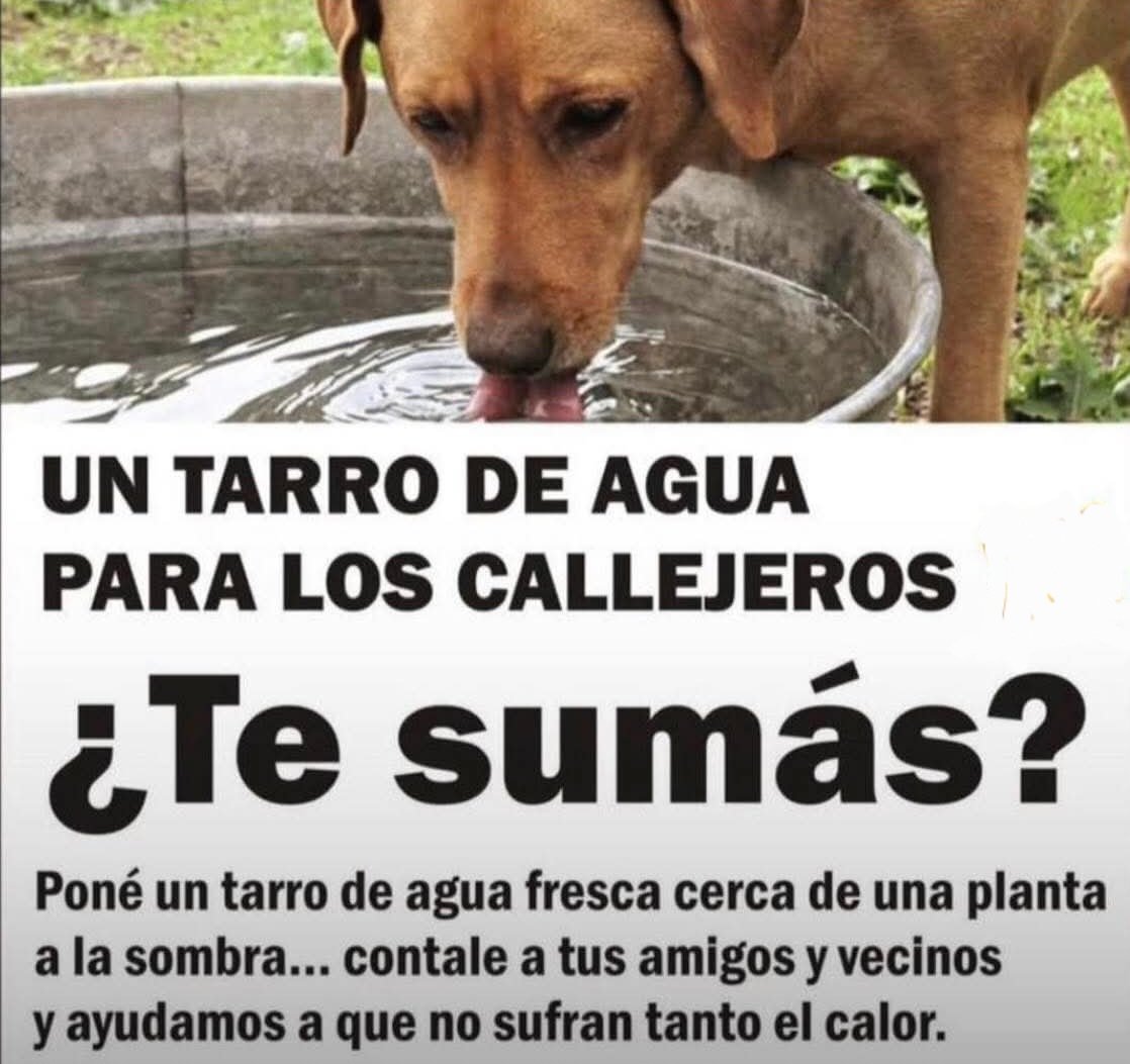 Agua 💦 🙏🙏🙏🙏