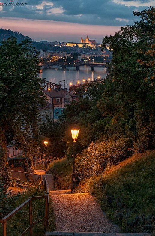 somegravity's tweet image. 色が熱い 🍴