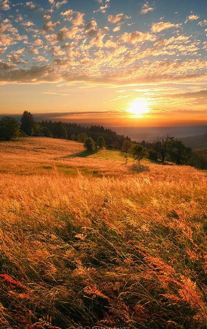 Springruitertje's tweet image. 結婚式に参加してきた🌟 🤲