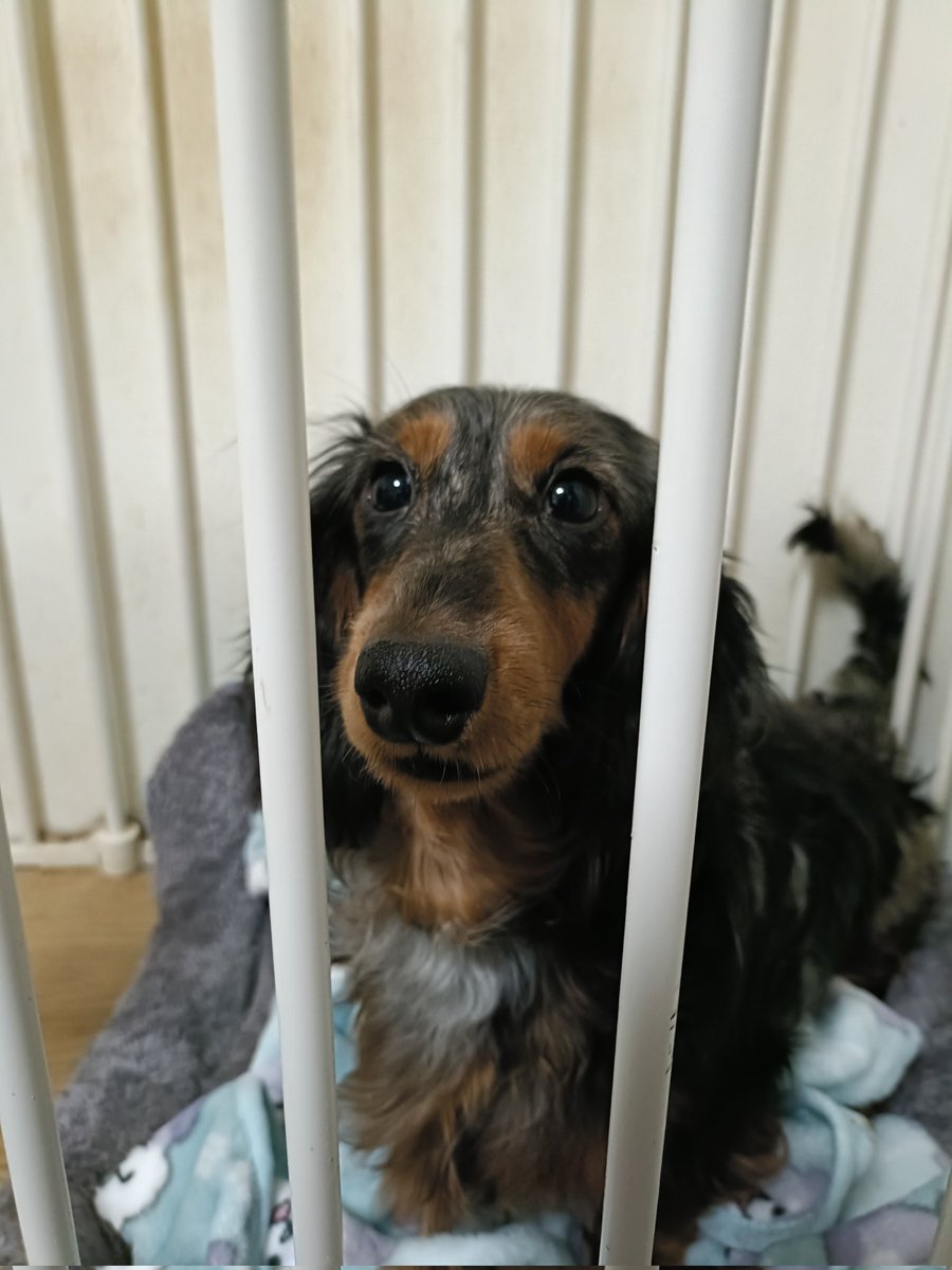 ちょっと早いですが…

今年は沢山の方と出会い
沢山刺激をもらう年でした

とある事ではリベンジが出来
チャレンジしまくる年でもあり…

結局は1年突っ走ってました😂

という事で2025年ありがとうございました！

2026年もよろしくお願いします！

個人アカウントの方は
暇あれば動くと思います！