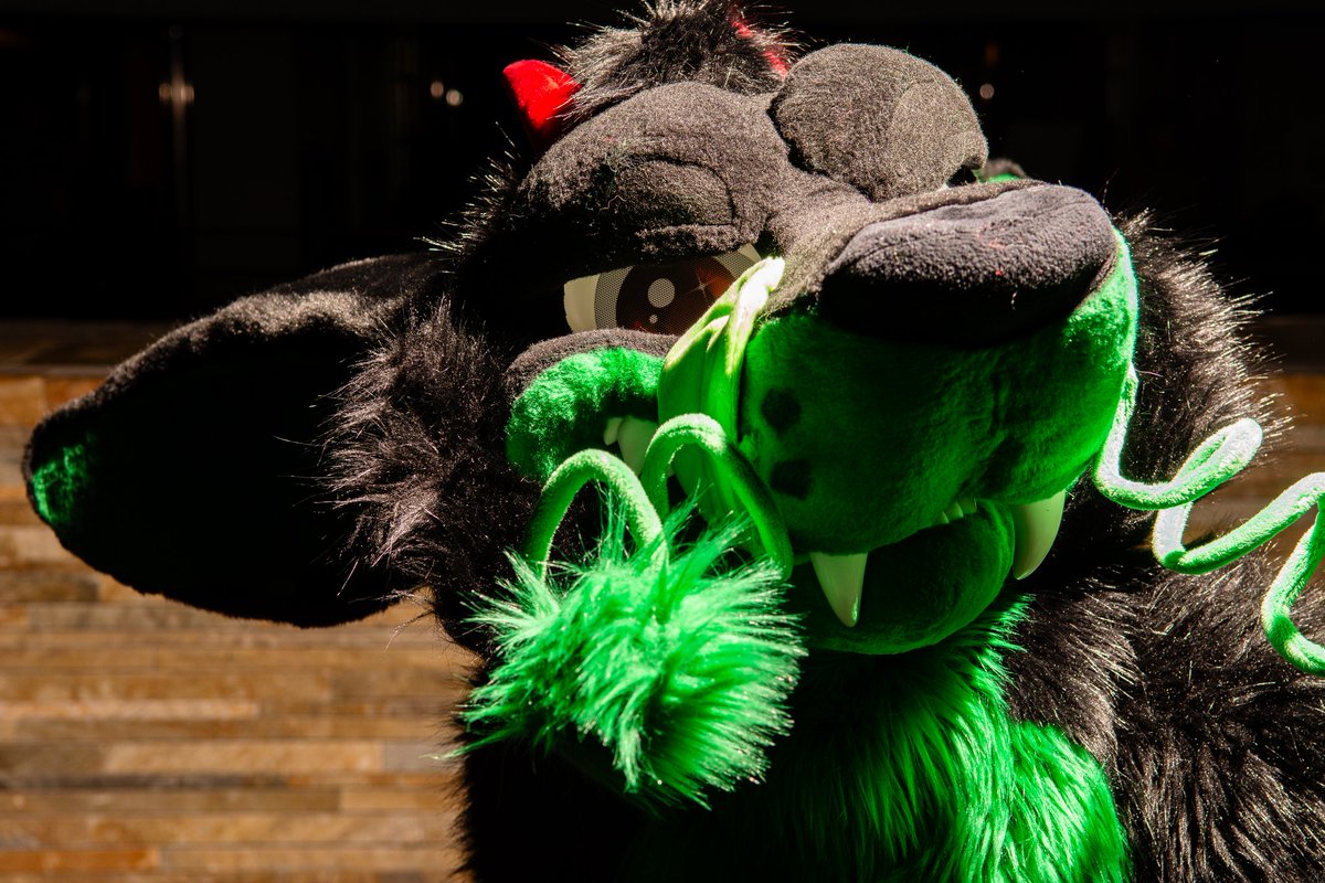 The cuddles..... where are they? I know your hiding them somewhere >:3

📸 @AscariFennec 
🧵🪡 <a href="/MoreFurLess/">More Fur Less</a> 
📍MFF 2025