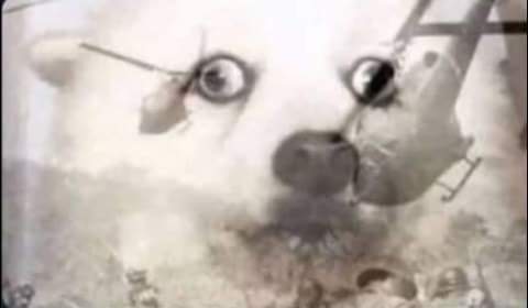 CADEJO86's tweet image. Acabo de leer #Gomiseo