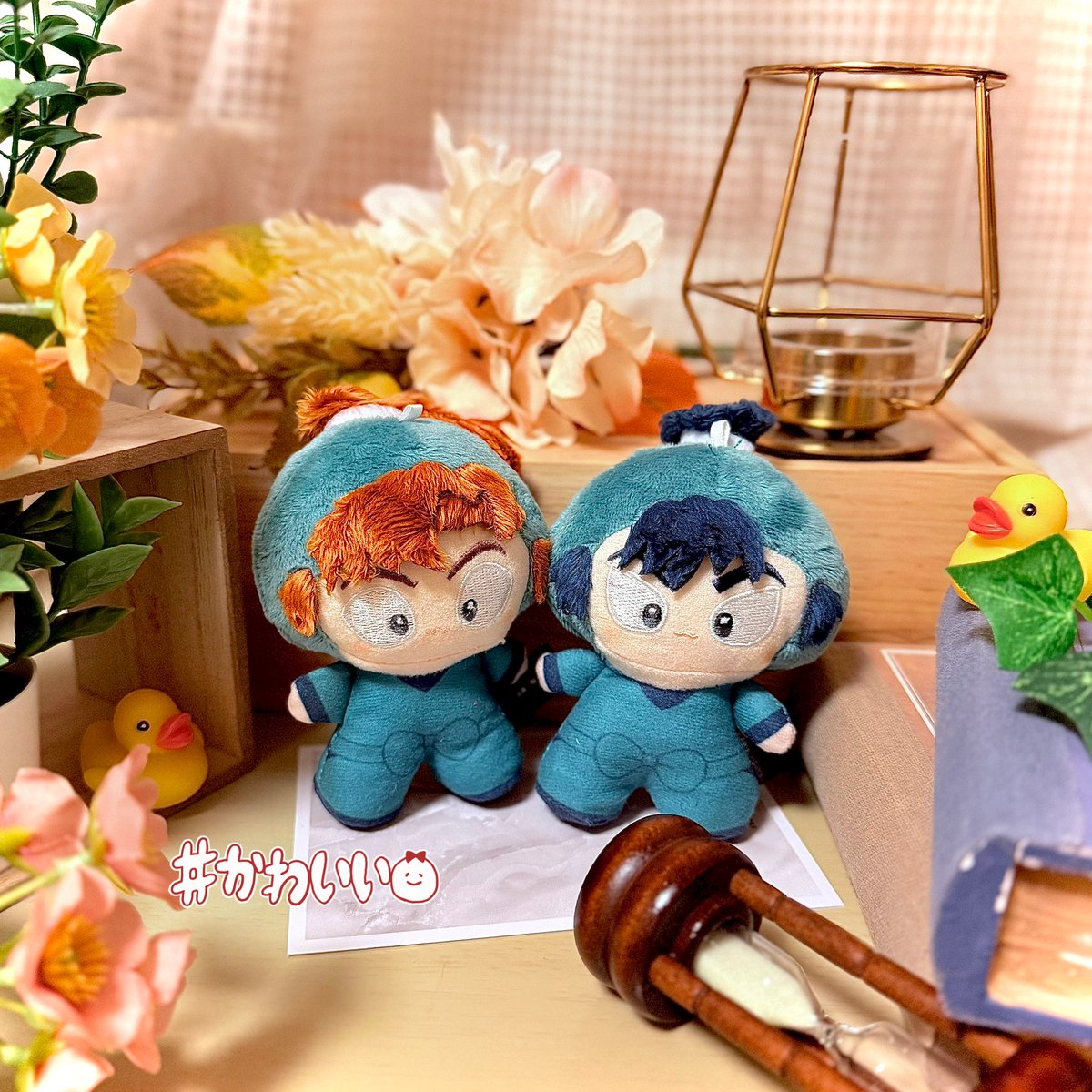 GET❕
かわいいね…かわいいね…