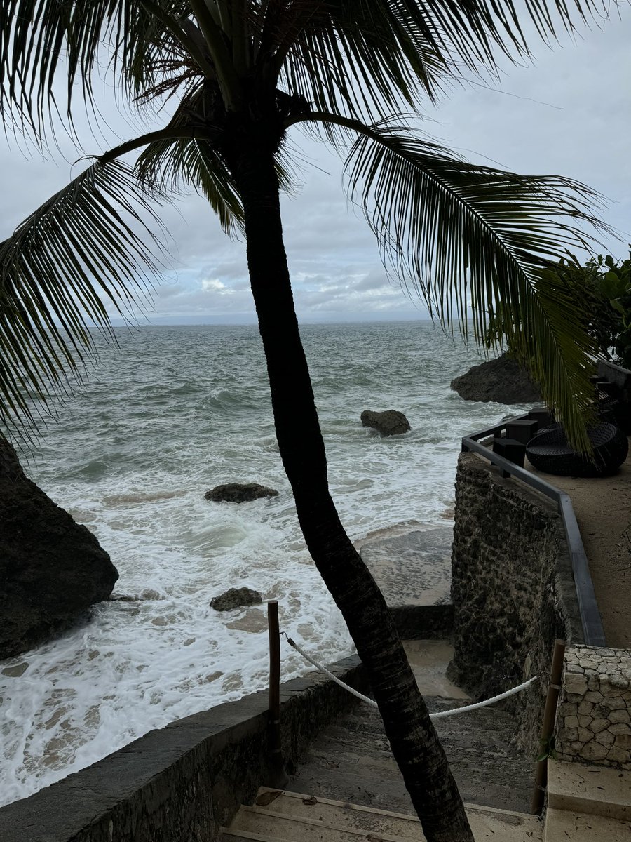 隔壁老王儿.eth tweet media