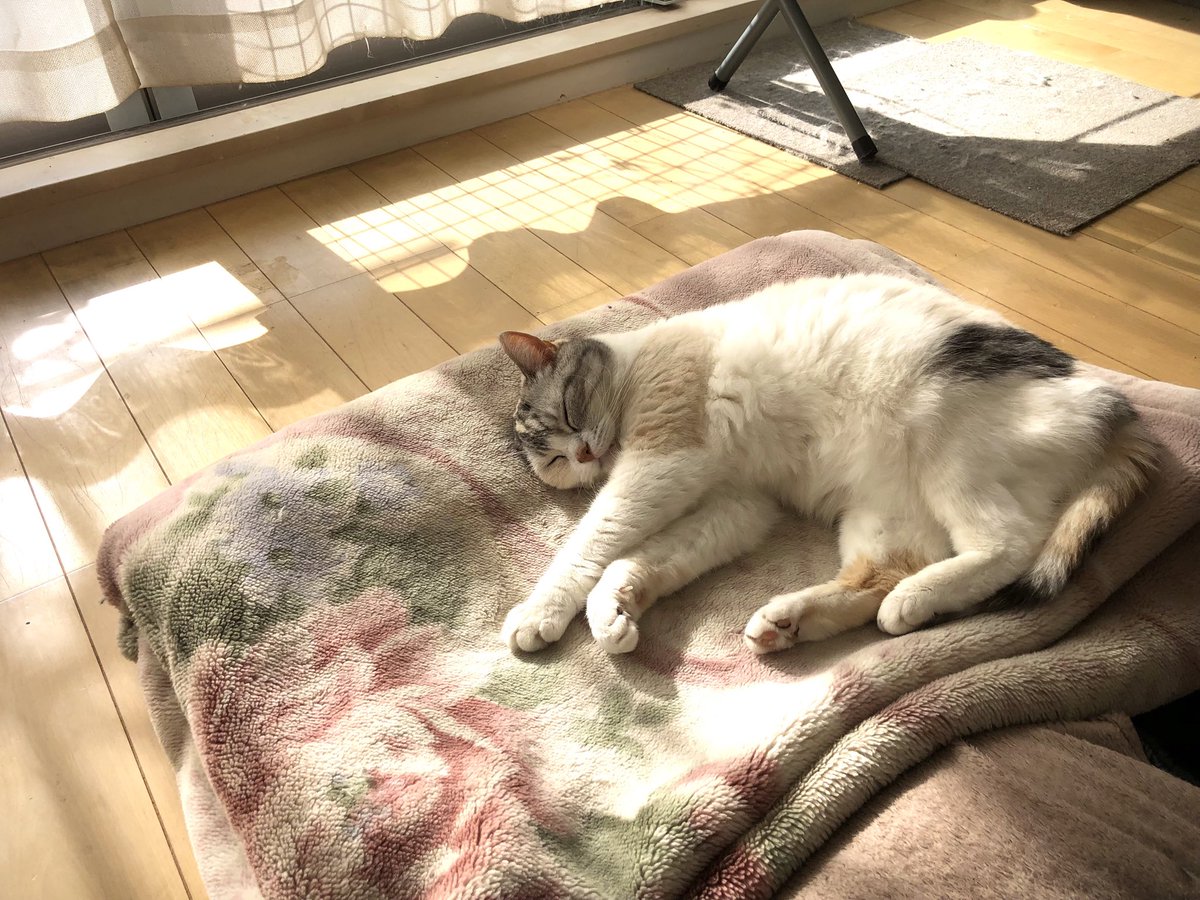 その2
気持ち良さそう^ ^