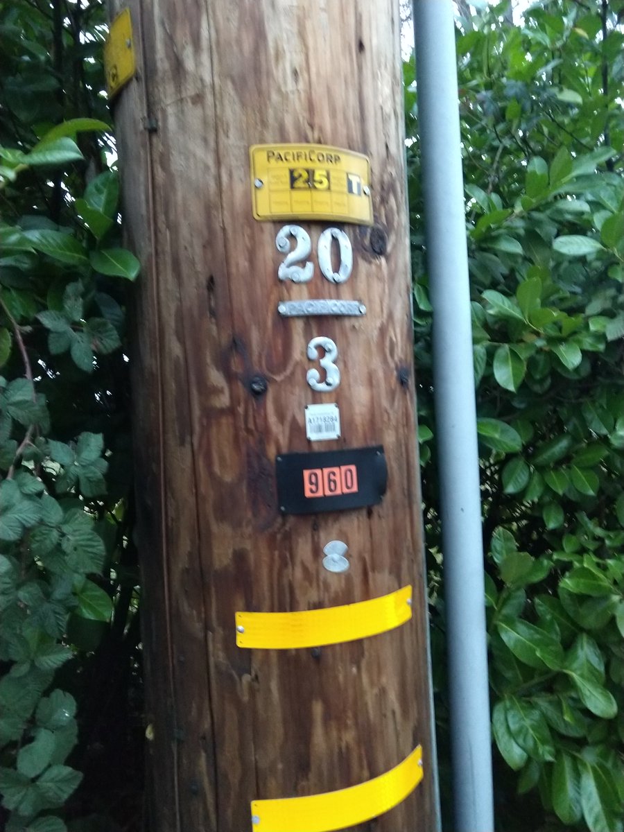 Michael Holzinger tweet media