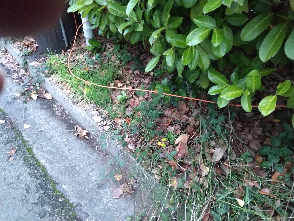 Michael Holzinger tweet media