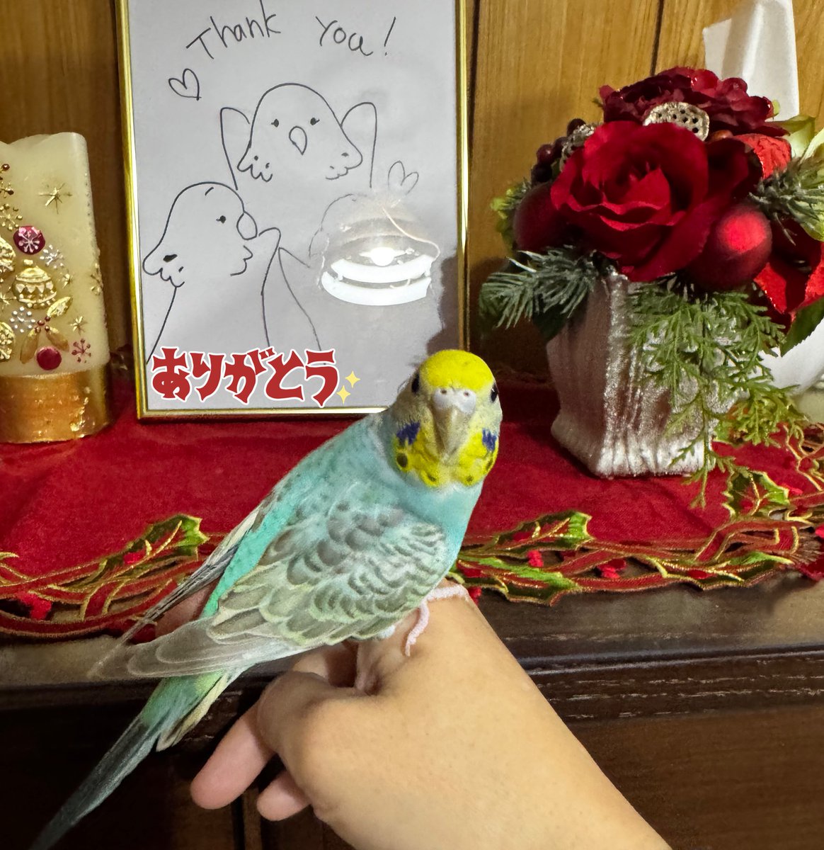 すう tweet media