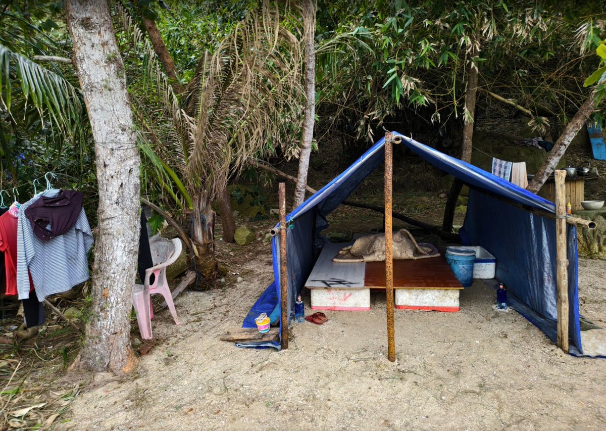 Shan Shui Conservation Center tweet media