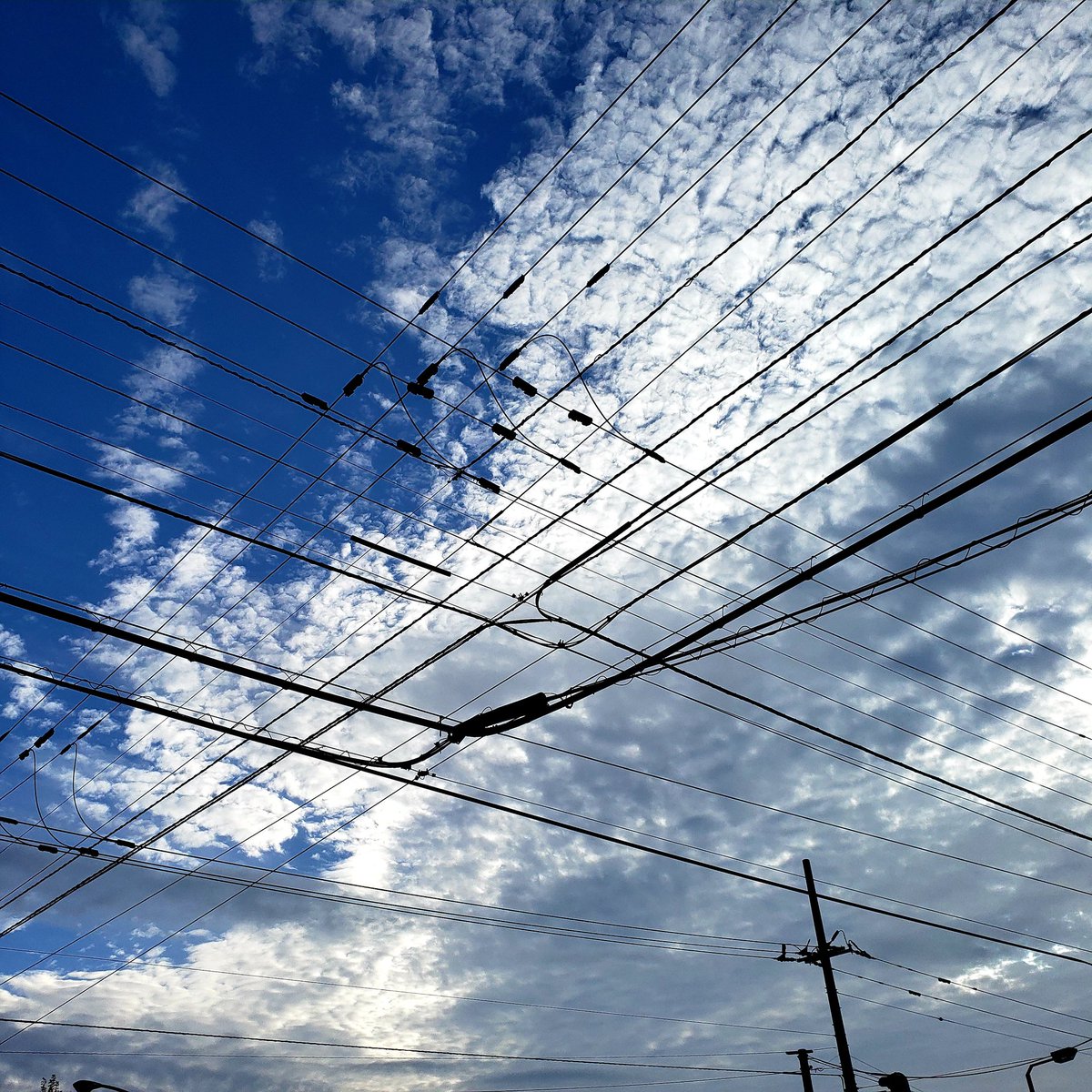 ひかる tweet media