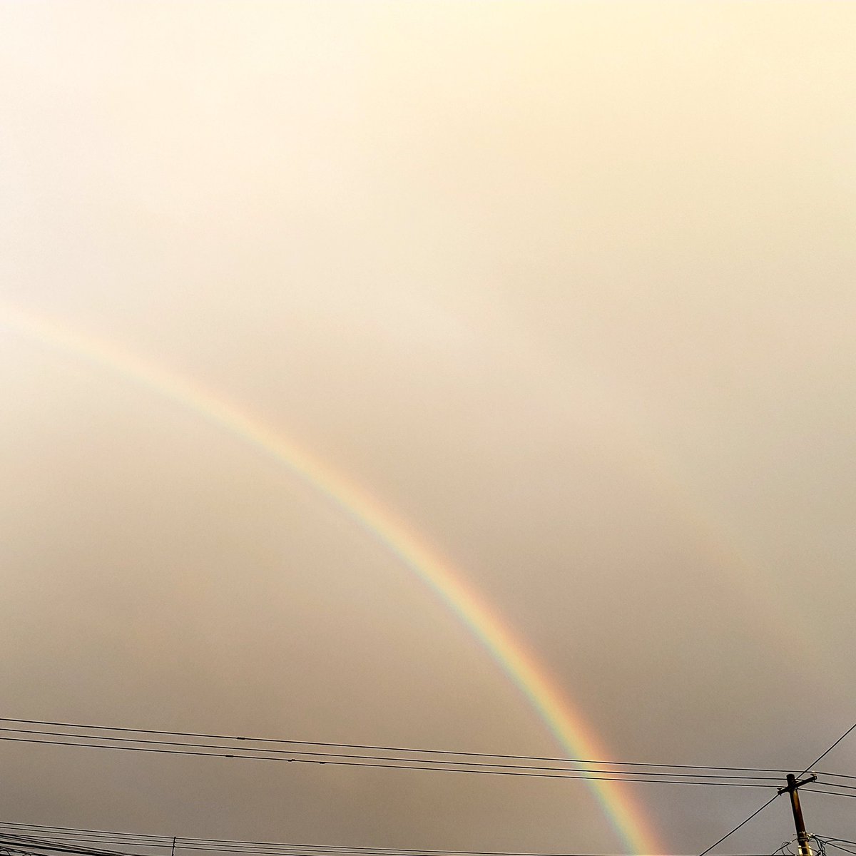 ひかる tweet media