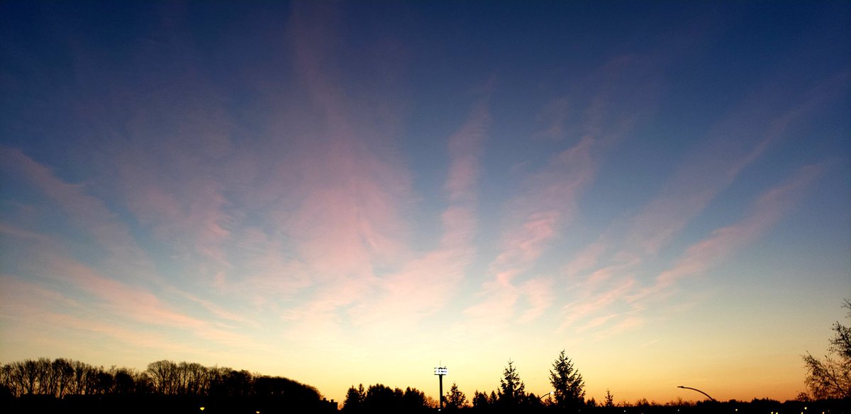 ひかる tweet media