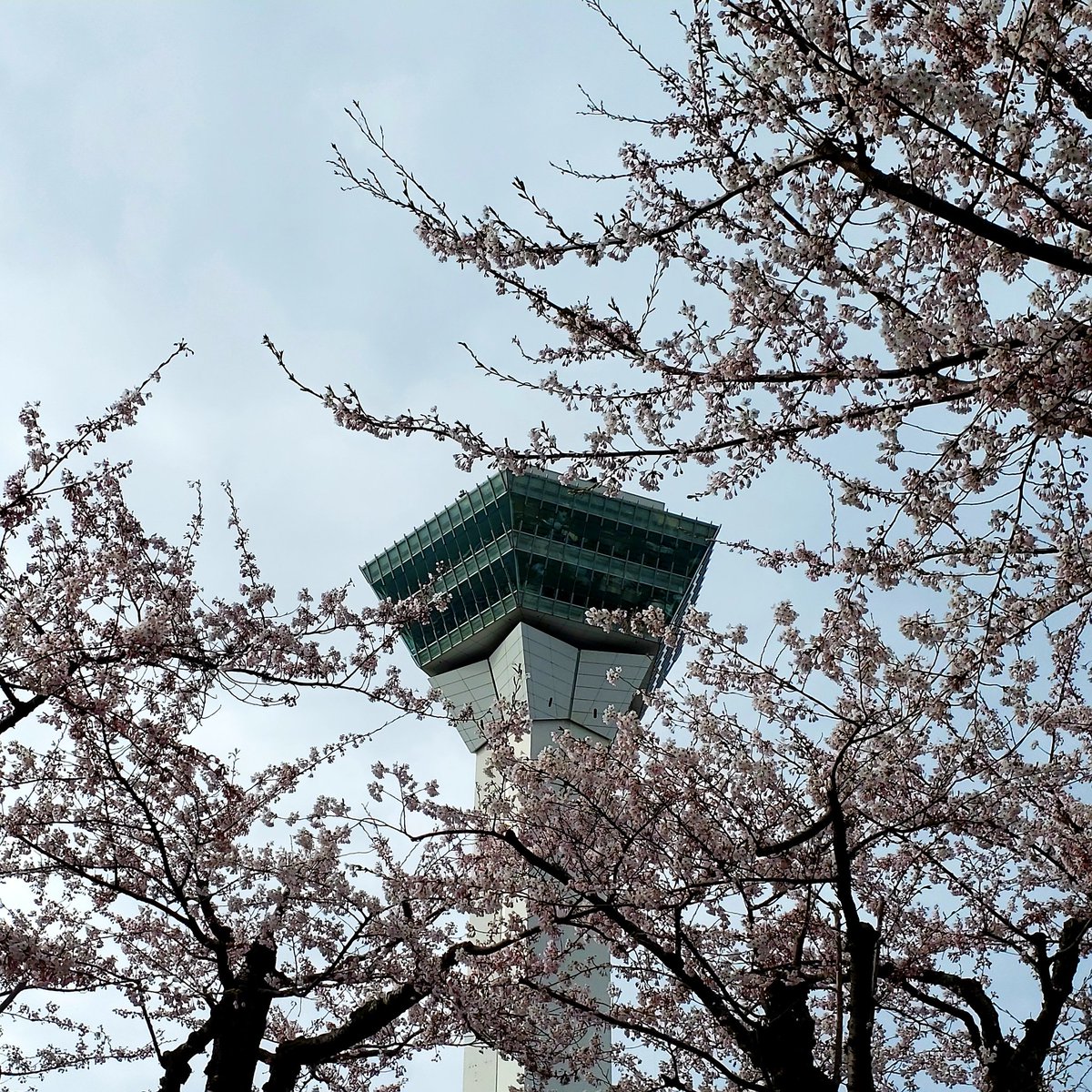 ひかる tweet media