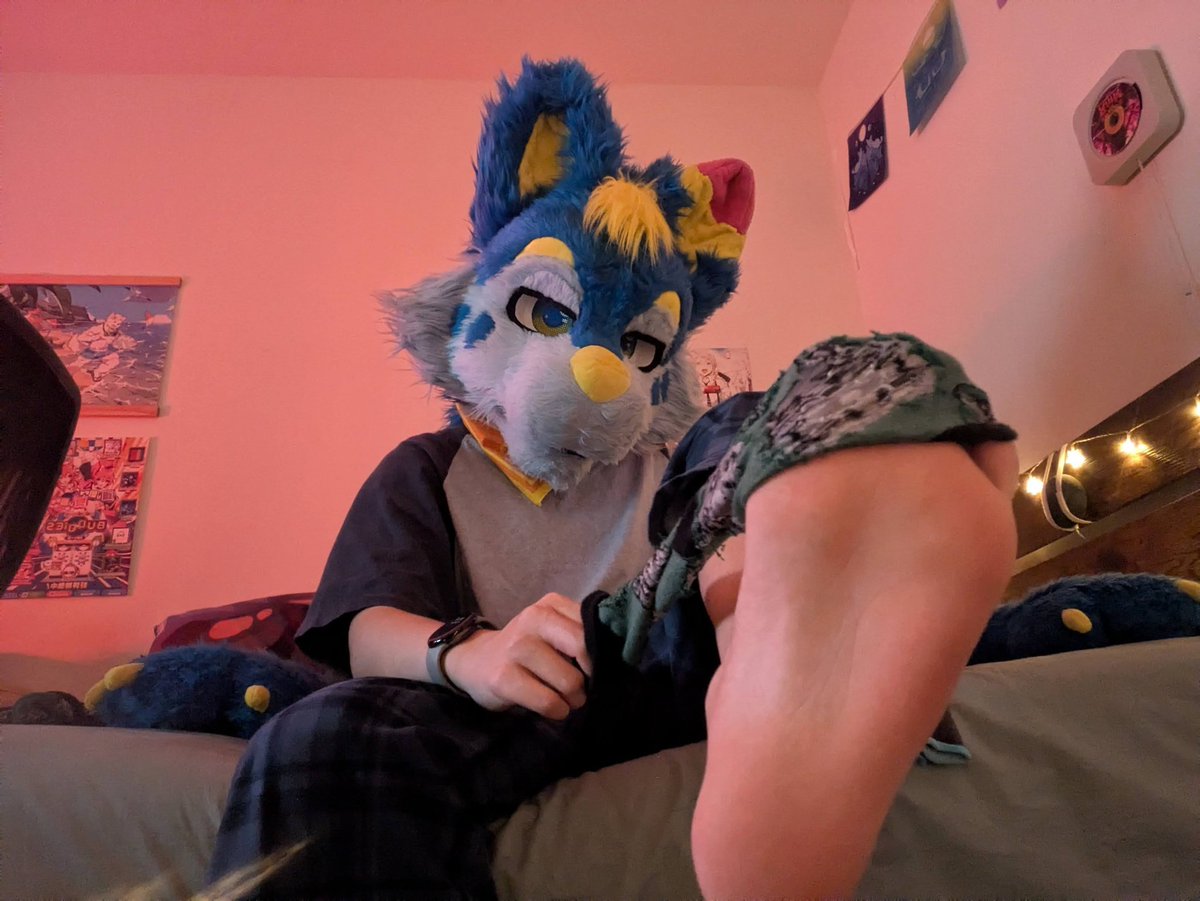 MidnightWerewolf tweet media